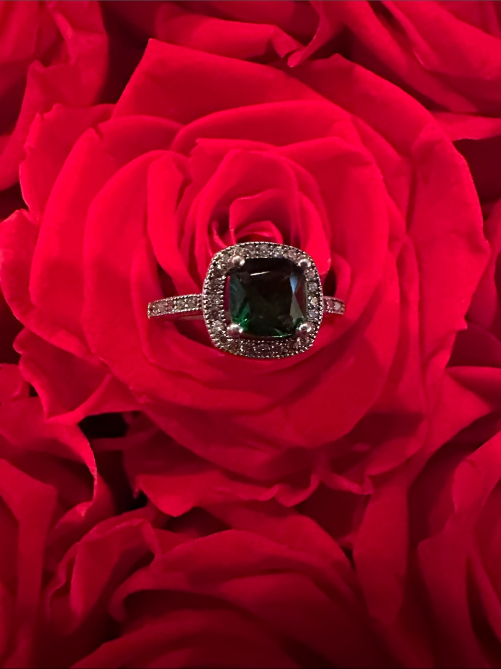 Emerald Cushion Halo Ring with Pavé Band - Green 925 silver